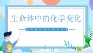 教科版（2024）六年级下册6.生命体中的化学变化一等奖课件ppt