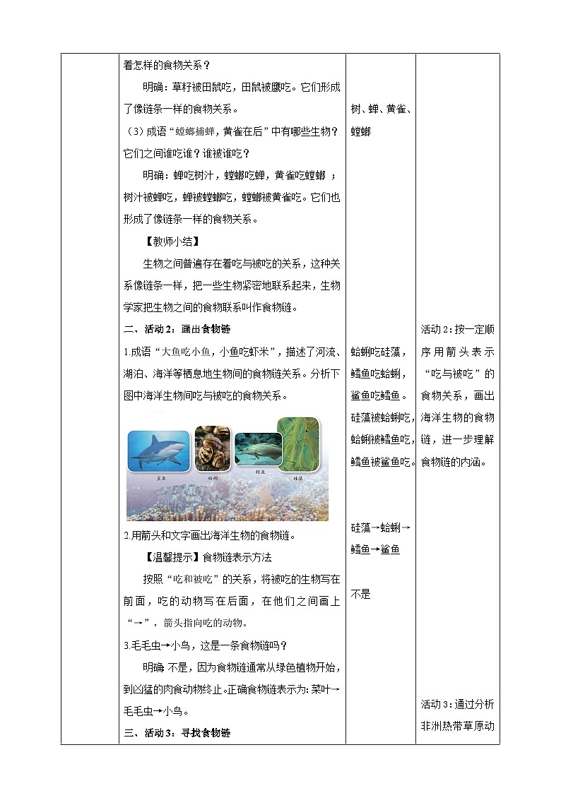 苏教版(2017)科学六下 2.6《有趣的食物链》教案第2页