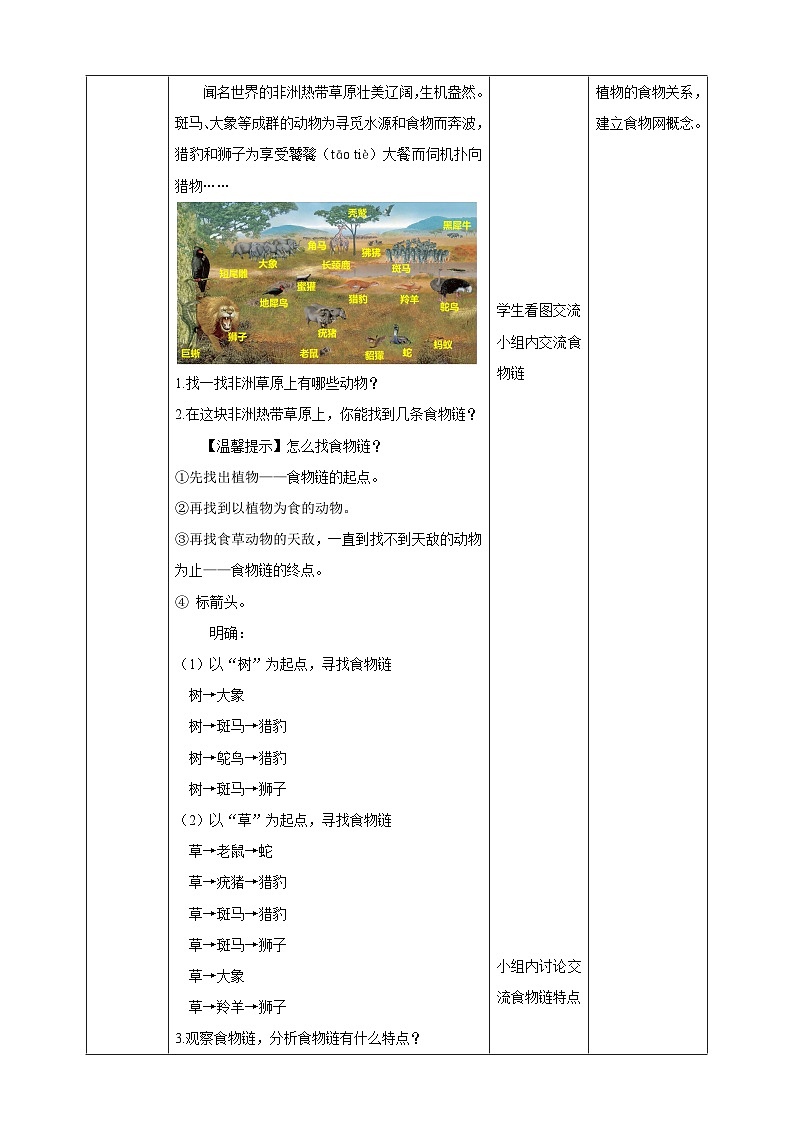 苏教版(2017)科学六下 2.6《有趣的食物链》教案第3页
