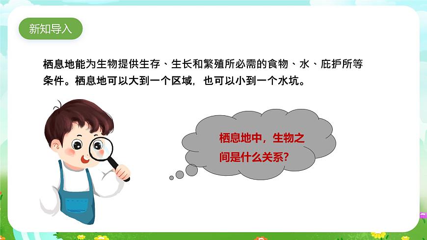 蘇教版（2017）科學(xué)六下 2.6《有趣的食物鏈》課件第2頁
