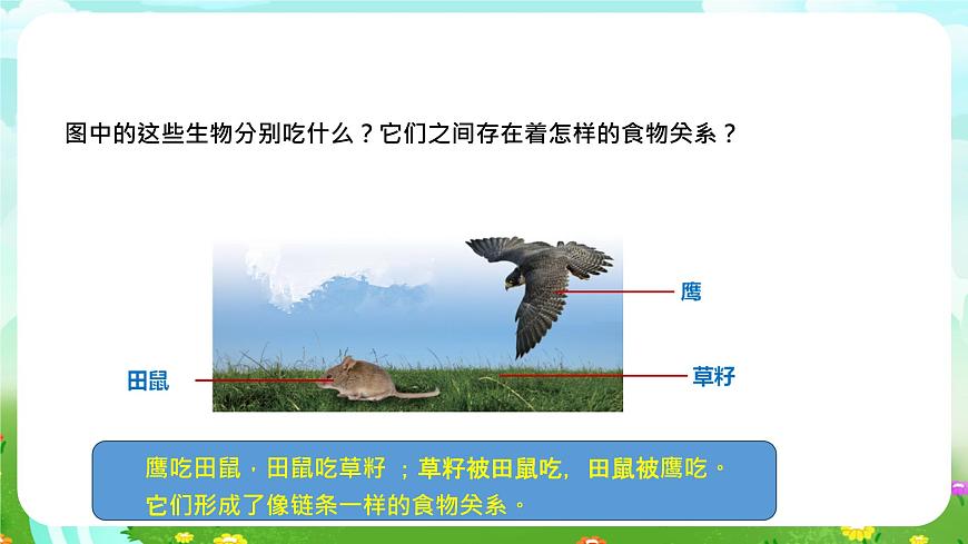 蘇教版（2017）科學(xué)六下 2.6《有趣的食物鏈》課件第4頁