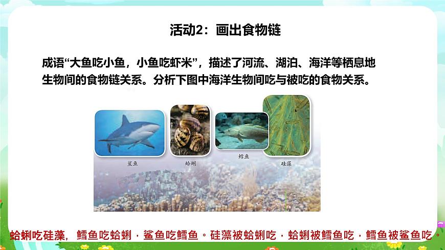 蘇教版（2017）科學(xué)六下 2.6《有趣的食物鏈》課件第7頁