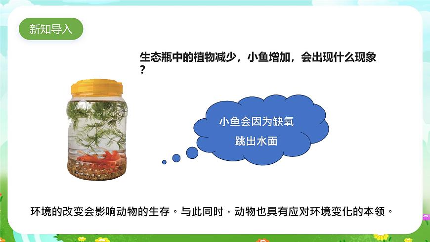 蘇教版（2017）科學六下 2.8《適應生存的本領》課件第2頁