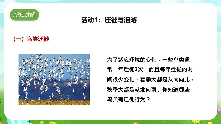 蘇教版（2017）科學六下 2.8《適應生存的本領》課件第3頁