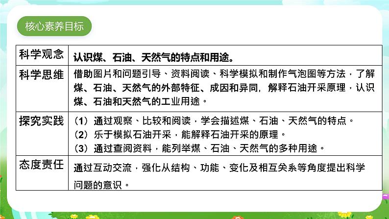 苏教版(2017)科学六下 3.10《煤、石油和天然气》课件第5页