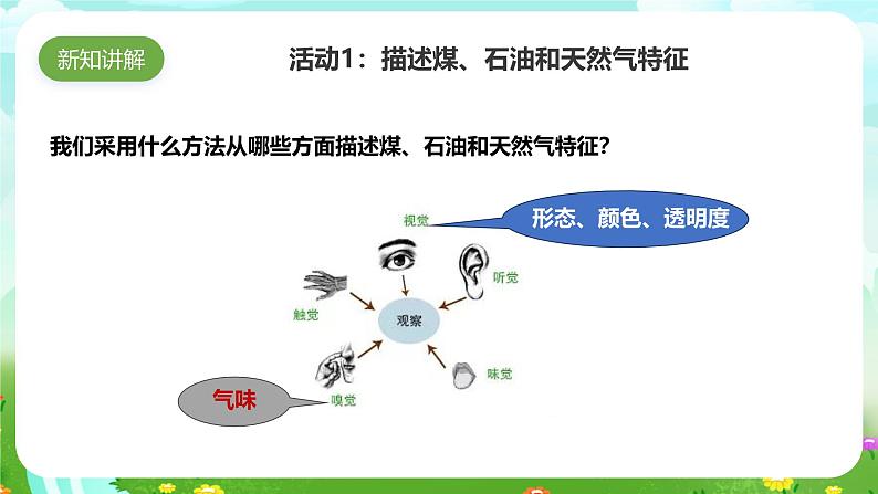 苏教版(2017)科学六下 3.10《煤、石油和天然气》课件第8页