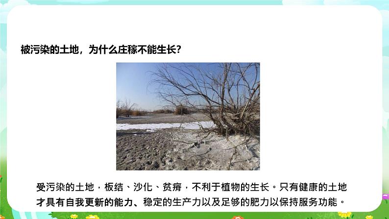 苏教版(2017)科学六下 4.16《健康的土地》课件第7页