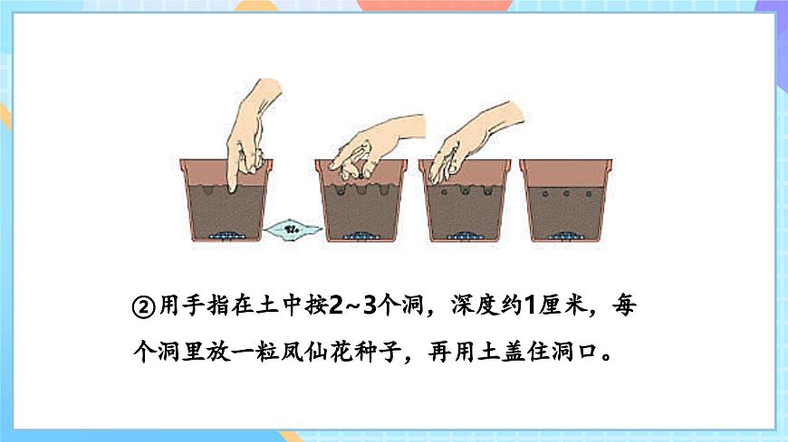 【核心素養(yǎng)】教科版科學(xué)四年級(jí)下冊(cè) 1.2《種植鳳仙花》課件第8頁