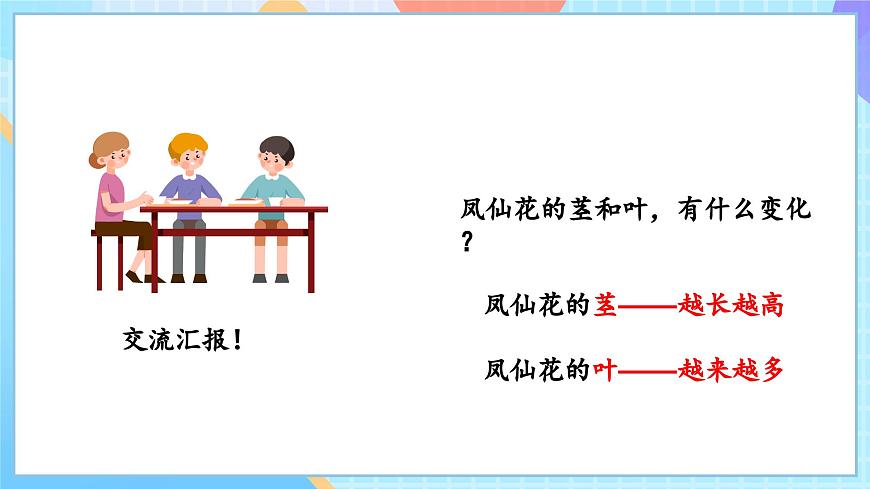 【核心素養(yǎng)】教科版科學四年級下冊 1.4《莖和葉》課件第4頁