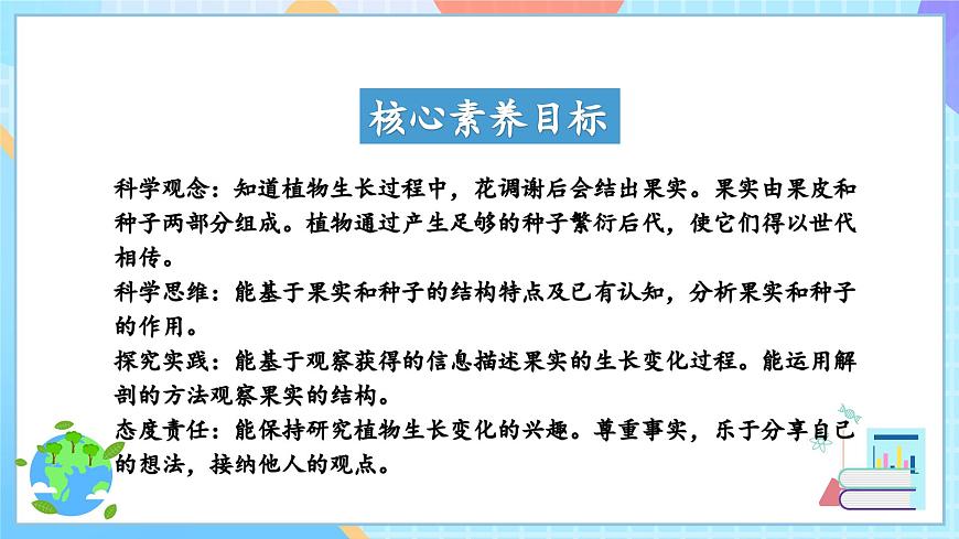 【核心素養(yǎng)】教科版科學(xué)四年級(jí)下冊(cè) 1.6《果實(shí)和種子》課件第2頁(yè)