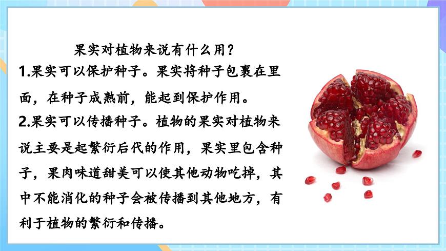 【核心素養(yǎng)】教科版科學(xué)四年級(jí)下冊(cè) 1.6《果實(shí)和種子》課件第4頁(yè)