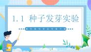 小学科学教科版（2024）五年级下册1.种子发芽实验优秀课件ppt