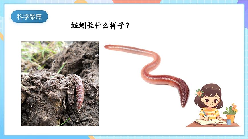 【核心素養(yǎng)】教科版科學(xué)五年級下冊 1.4《蚯蚓的選擇》課件第3頁