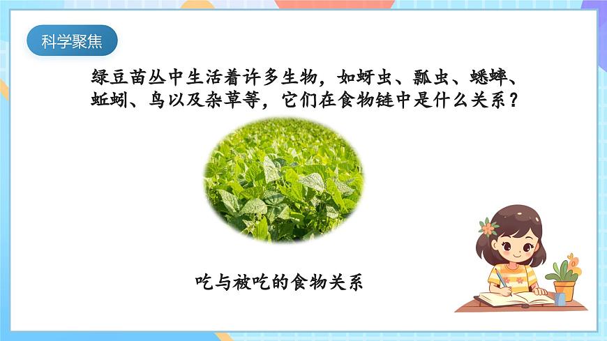 【核心素養(yǎng)】教科版科學(xué)五年級(jí)下冊(cè) 1.7《設(shè)計(jì)和制作生態(tài)瓶》課件第3頁(yè)