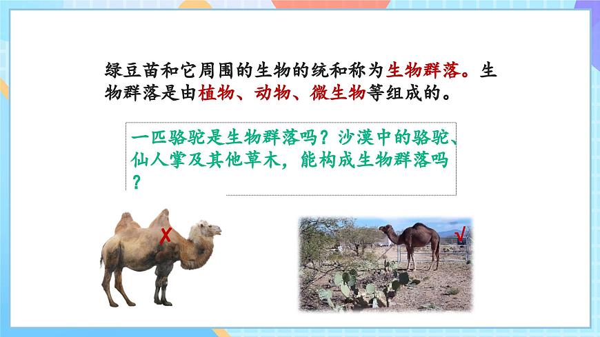 【核心素養(yǎng)】教科版科學(xué)五年級(jí)下冊(cè) 1.7《設(shè)計(jì)和制作生態(tài)瓶》課件第5頁(yè)
