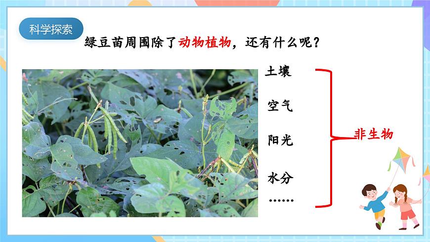 【核心素養(yǎng)】教科版科學(xué)五年級(jí)下冊(cè) 1.7《設(shè)計(jì)和制作生態(tài)瓶》課件第6頁(yè)