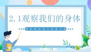 教科版（2024）二年级下册1.观察我们的身体完整版课件ppt