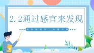 教科版（2024）二年级下册2.通过感官来发现评优课课件ppt
