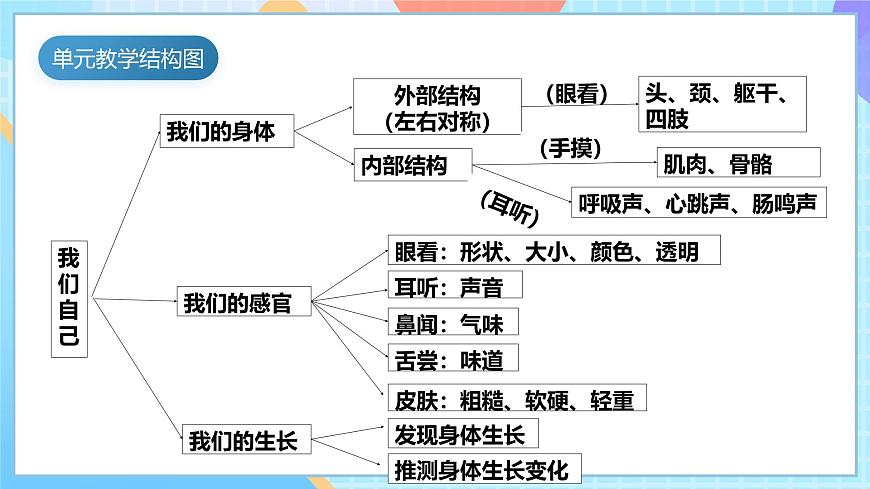 【核心素養(yǎng)】教科版科學(xué)二年級(jí)下冊(cè) 2.2《通過(guò)感官來(lái)發(fā)現(xiàn)》課件第4頁(yè)