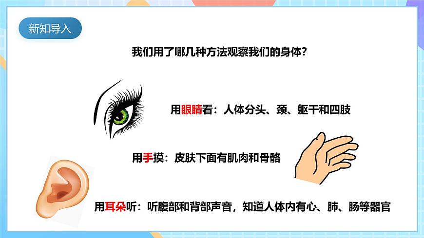 【核心素養(yǎng)】教科版科學(xué)二年級(jí)下冊(cè) 2.2《通過(guò)感官來(lái)發(fā)現(xiàn)》課件第6頁(yè)