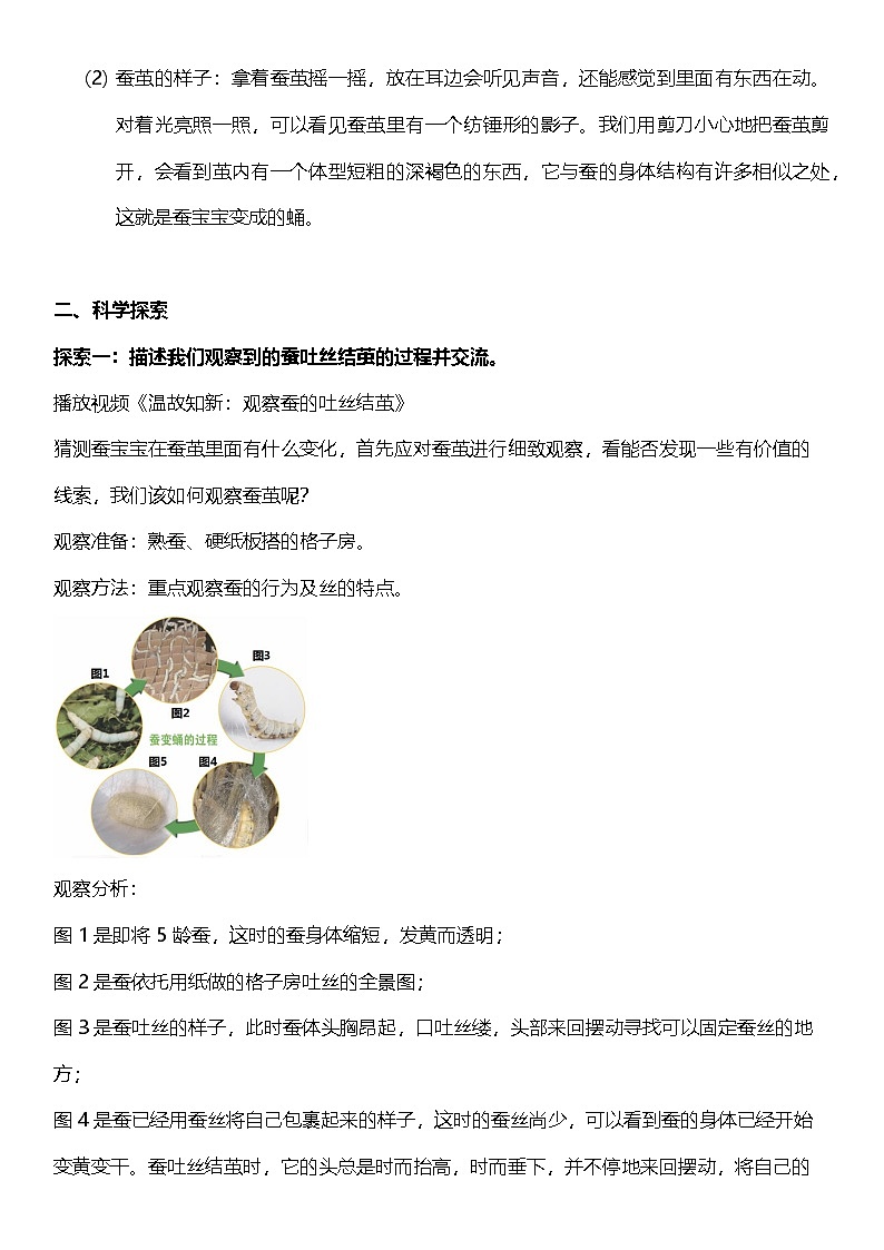 【核心素养】教科版科学三年级下册 2.4《蚕变了新模样》教案第2页