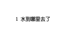 2024教科版科学三年级上册第一单元水1 水到哪里去了 作业课件