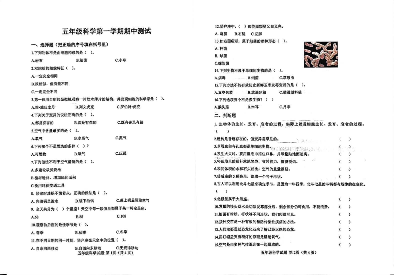 山东省济南市莱芜区2024-2025学年五年级上学期期中科学试题