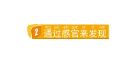 2024教科版科学二年级下册第二单元我们自己2通过感官来发现教学课件