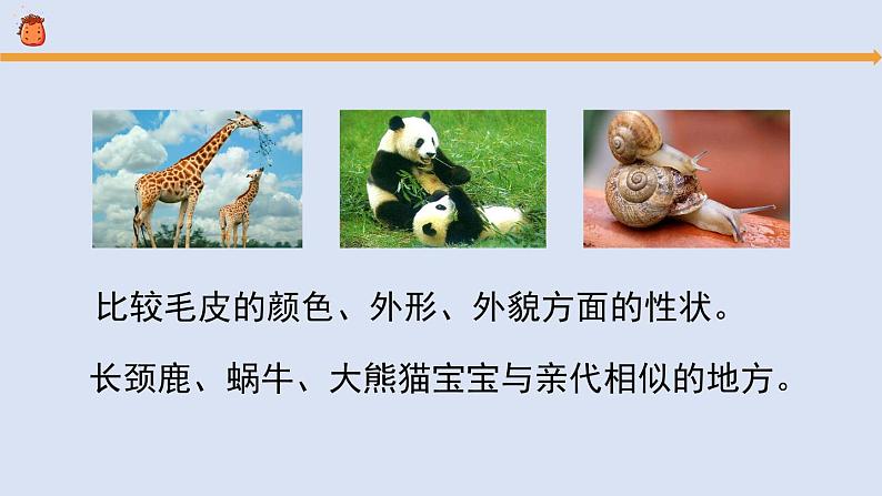 《孩子与父母(2)》参考课件第7页