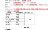 科学六年级上册7.能量从哪里来随堂练习题