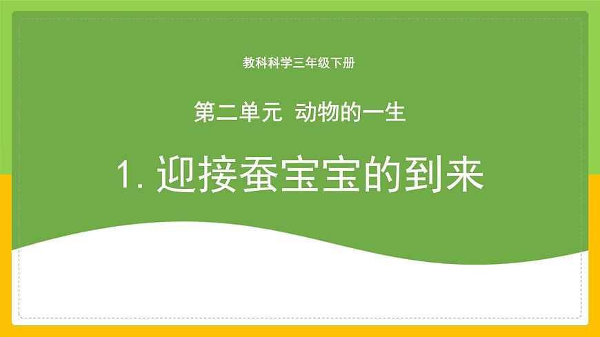 教科版科學(xué)三下 2.1 《迎接蠶寶寶的到來》課件第1頁