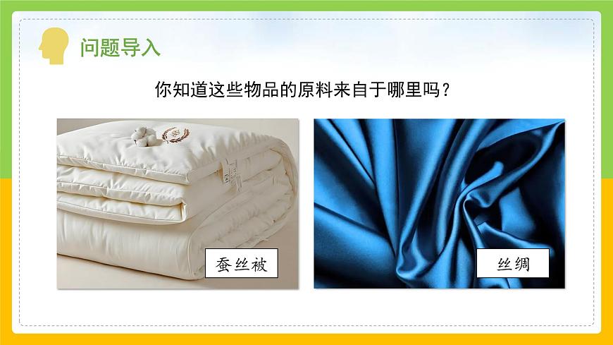 教科版科學(xué)三下 2.1 《迎接蠶寶寶的到來》課件第4頁