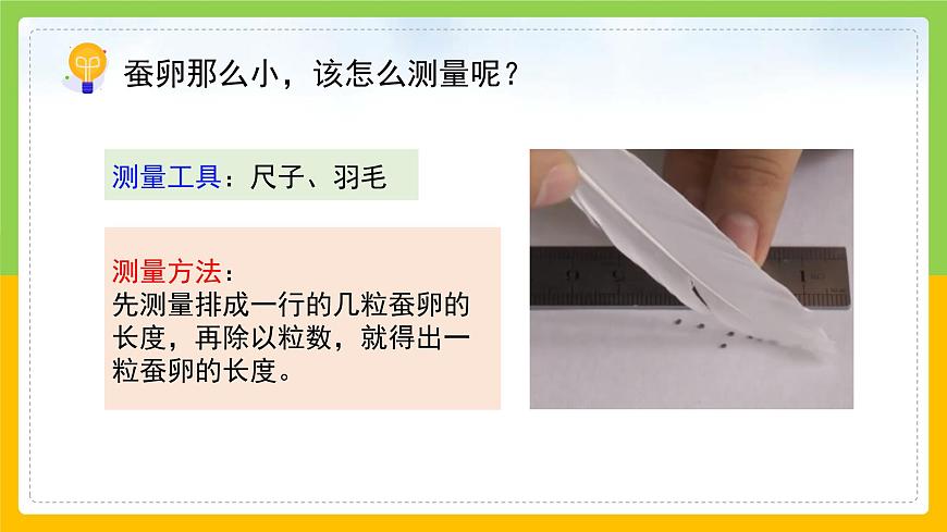 教科版科學(xué)三下 2.1 《迎接蠶寶寶的到來》課件第8頁