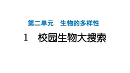 2024教科版科学六年级下册第二单元生物的多样性1 校园生物大搜索 作业课件ppt