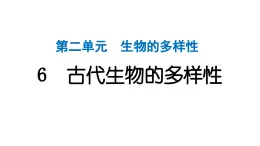 2024教科版科学六年级下册第二单元生物的多样性6 古代生物的多样性 作业课件ppt