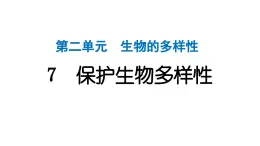 2024教科版科学六年级下册第二单元生物的多样性7 保护生物多样性 作业课件ppt