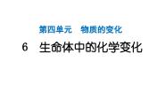 教科版（2024）六年级下册6.生命体中的化学变化作业ppt课件