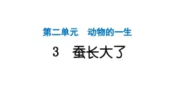 2024教科版科学三年级下册第二单元动物的一生3 蚕长大了 作业课件ppt