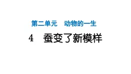 2024教科版科学三年级下册第二单元动物的一生4 蚕变了新模样 作业课件ppt