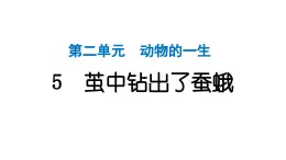 2024教科版科学三年级下册第二单元动物的一生5 茧中钻出了蚕蛾 作业课件ppt