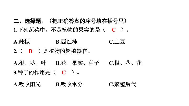 2024教科版科学四年级下册第一单元植物的生长变化6 果实和种子 作业课件ppt第4页