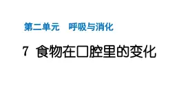 2024教科版科学四年级上册第二单元呼吸与消化6 食物在口腔里的变化  作业课件ppt