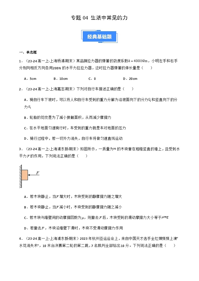 专题04 生活中常见的力(原卷版)-A4第1页