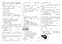 教科版2024-2025学年五年级科学上册期末测试卷