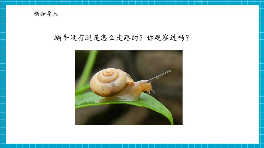 【大單元整體教學(xué)】1.1《小小科學(xué)家》課時(shí)課件第5頁(yè)