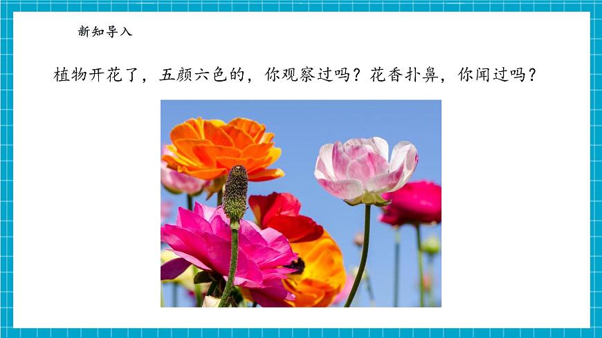【大單元整體教學(xué)】1.1《小小科學(xué)家》課時(shí)課件第6頁(yè)