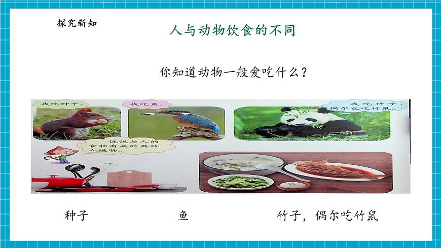 【大單元整體教學(xué)】4.11《人工世界》課時(shí)課件第6頁