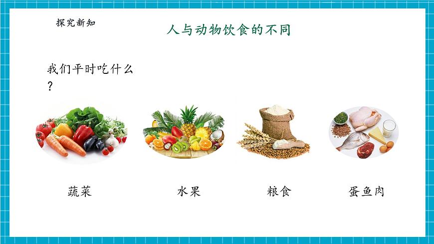 【大單元整體教學(xué)】4.11《人工世界》課時(shí)課件第7頁