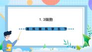 五年级下册3 细胞优秀ppt课件