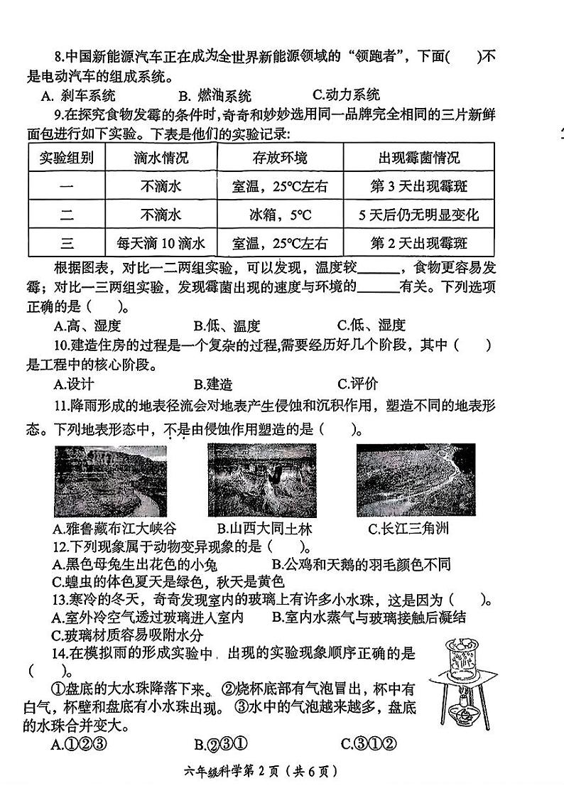 河南省洛阳市2024-2025学年六年级上期末考试科学试题第2页